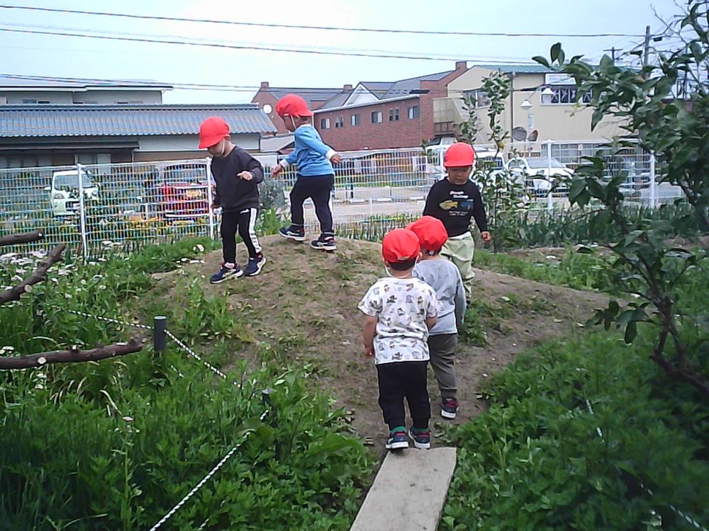 PICT0014.jpg